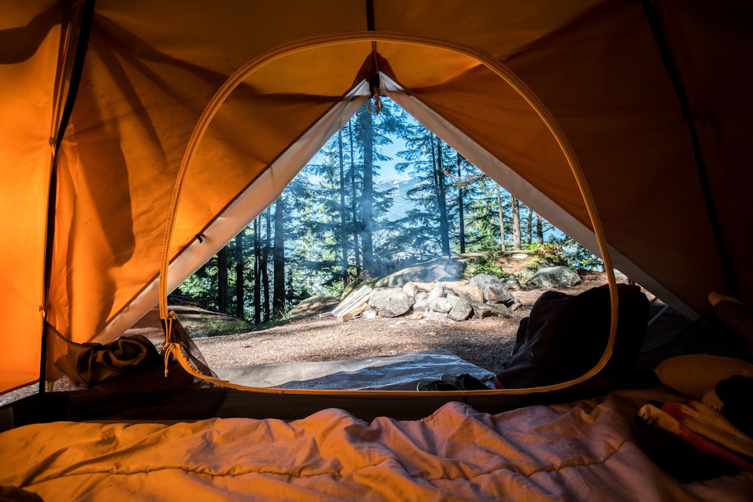 Embracing the Wilderness: Unplugging and Connecting with Nature Embracing the Wilderness: Unplugging and Connecting with Nature